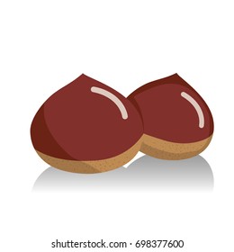 Autumn taste, chestnut fruit illustration