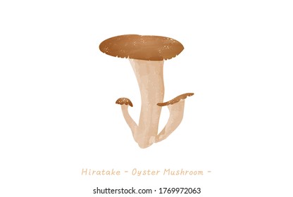 Autumn taste, simple illustration of mushroom oyster mushroom
Vector illustration