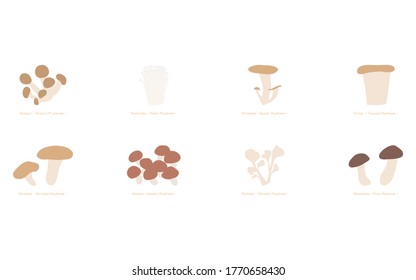 Autumn taste, simple illustration of mushrooms: Matsutake, Maitake, Shiitake and other set
Vector illustration