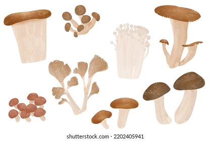 Autumn Taste, Simple Illustration Of Mushrooms: Matsutake, Maitake, Shiitake And Other Set
Vector Illustration