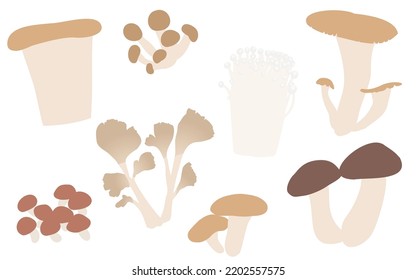 Autumn Taste, Simple Illustration Of Mushrooms: Matsutake, Maitake, Shiitake And Other Set
Vector Illustration