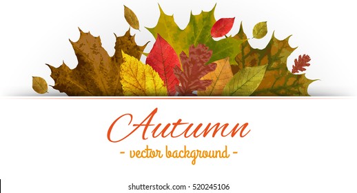 Autumn tematic vector leafs backgound