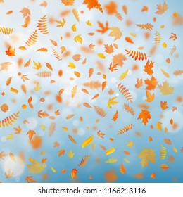 Autumn template with colorful leaves on gold bokeh effect. EPS 10