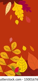 Autumn template of autumn fallen leaves orange yellow foliage. Backgrounds social media stories banners. Template for event invitation, product catalog, advertising. Vector isoalted trendy flat style