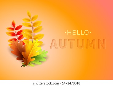 Autumn text greeting in banner design with colorful leaves on orange background. 3D text with stamping.Vector illustration