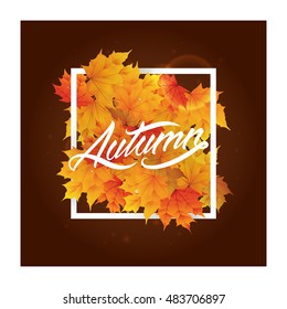 Autumn text with maple leaves fall background