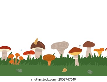 Autumn Texture Seamless Border With Green Grass And Different King Of Mushrooms. Mushroom Mycelium Into Repeat Invitations, Decor, Packaging, Greeting Cards, Stationary. Flat Vector Illustration.