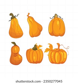 Autumn thanksgiving and halloween pumpkins collection