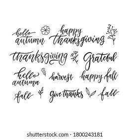 Autumn and Thanksgiving hand written brush lettering and doodles floral icons set, isolated on white. Seasonal calligraphy. Typographic design elements for stickers, gift tags, greeting cards. Vector.