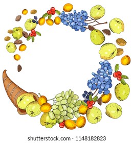 Autumn thanksgiving template isolated on white. Cornucopia with apples, apricots, grapes, berries and nuts.