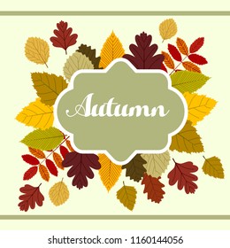 autumn theme with flat style leaves