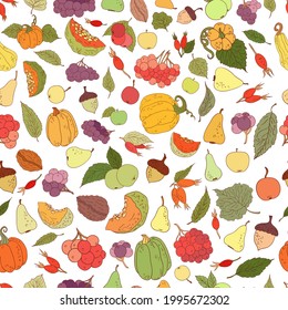 Autumn theme pattern. Thanksgiving seamless background. Color autumn leaves fall hand drawn icon on white. Leaves, dog rose, pumpkins, apples, berries, nuts. Fabric, textile, apparel editorial design