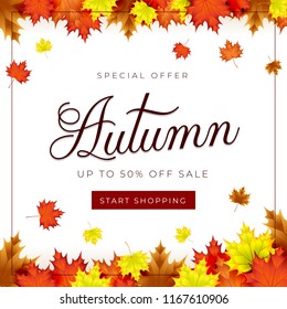 Autumn theme. Sale background layout decorate with leaves for promo or shopping sale