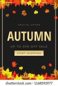 Autumn theme. Sale background layout decorate with leaves for promo or shopping sale