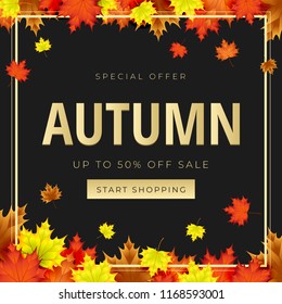 Autumn theme. Sale background layout decorate with leaves for promo or shopping sale