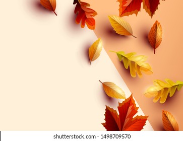 Autumn themed background with colourful leaves, vector illustration.