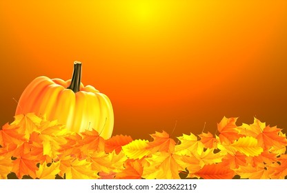 autumn themed compositions - isolated bouquets of natural leaves, single maple leaves, abstract pile of maple leaves of yellow, orange, red colors background.