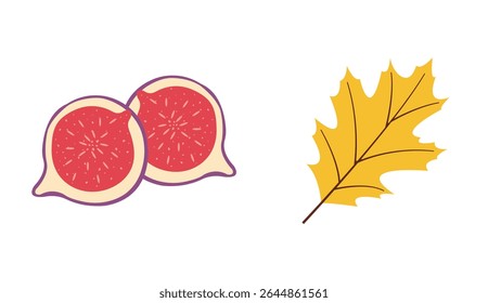 Autumn themed flat vector pack: sliced fig, yellow leaf for creative designs. Hand drawn set for banners, cards, social media