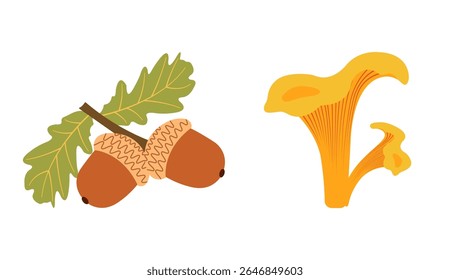 Pacote de vetor plano temático de outono: bolotas, cogumelos para projetos criativos. Conjunto desenhado à mão para banners, cartões, mídias sociais