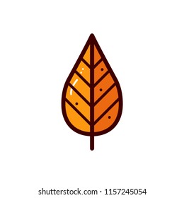 Autumn themed vector illustration 