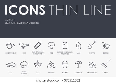 autumn Thin Line Icons