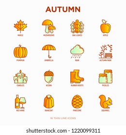 Autumn thin line icons set: maple, mushrooms, oak leaves, apple, pumpkin, umbrella, rain, candles, acorn, rubber boots, raincoat, pinecone, squirrel. Modern vector illustration.