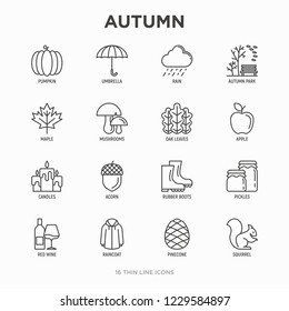 Autumn thin line icons set: maple, mushrooms, oak leaves, apple, pumpkin, umbrella, rain, candles, acorn, rubber boots, raincoat, pinecone, squirrel. Modern vector illustration.