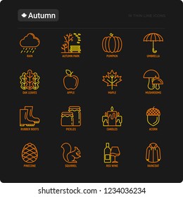 Autumn thin line icons set: maple, mushrooms, oak leaves, apple, pumpkin, umbrella, rain, candles, acorn, rubber boots, raincoat, pinecone, squirrel. Modern vector illustration.