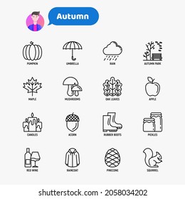 Autumn thin line icons set. Maple, mushrooms, oak leaves, apple, pumpkin, umbrella, rain, candles, acorn, rubber boots, raincoat, pinecone, squirrel. Modern vector illustration.