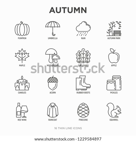 Autumn thin line icons set: maple, mushrooms, oak leaves, apple, pumpkin, umbrella, rain, candles, acorn, rubber boots, raincoat, pinecone, squirrel. Modern vector illustration.