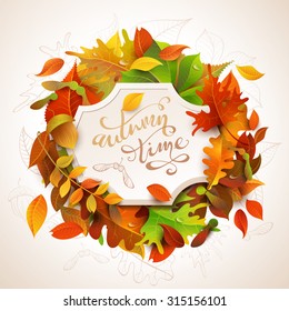 Autumn time background. Birch, elm, oak, rowan, maple, chestnut, aspen leaves and acorns. Bright colourful autumn leaves and white paper badge on them. You can place your text in the center.