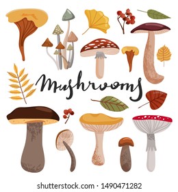 Autumn time composition. Set of various types of mushrooms and autumn leaves. Vector illustration on white background.