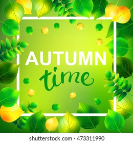 Autumn time template with birch and rowan leaf. Lettering autumn time. Vector illustration.
