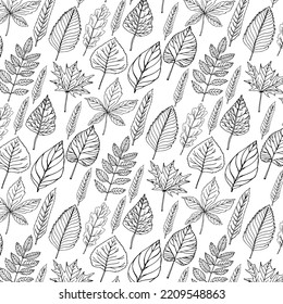 Autumn transparent leaves pattern background. Black and white art vector autumn leaves pattern. Fabric texture.