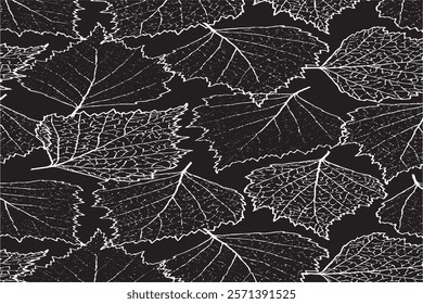 Autumn transparent leaves pattern on white background
