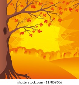 Autumn tree