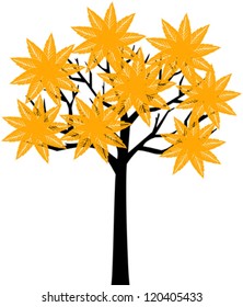 Autumn Tree