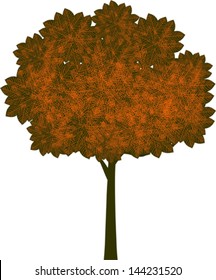 Autumn tree
