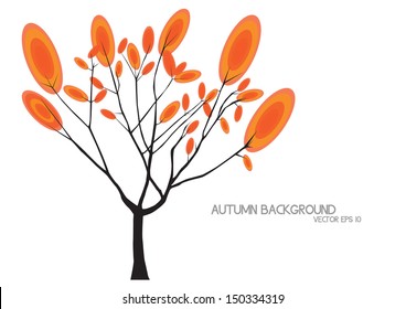 Autumn tree