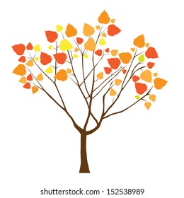 Autumn tree