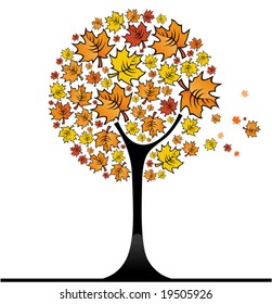 Autumn tree.