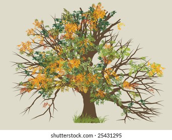 autumn tree