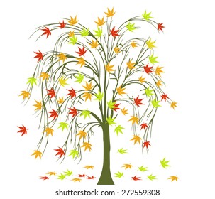 Autumn tree 