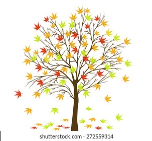 Autumn tree 