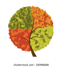 Autumn tree