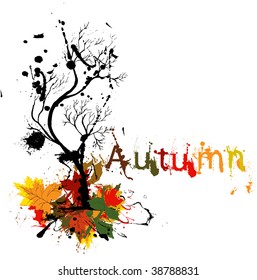 Autumn tree
