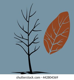 autumn tree