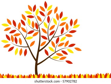 Autumn tree
