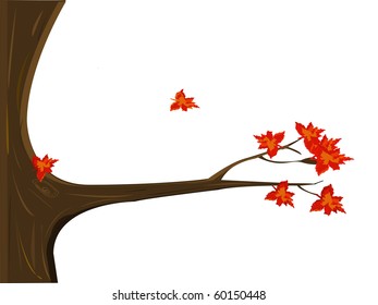autumn tree