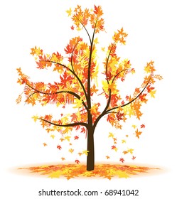 autumn tree